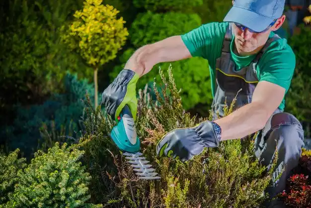 landscaping services Lakemore